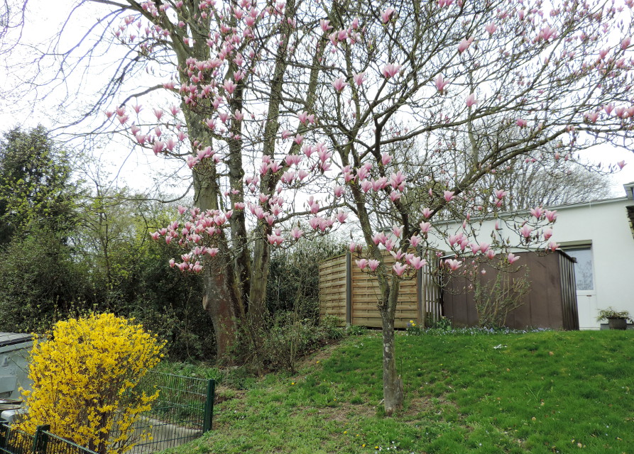 Der Frühling ist da!