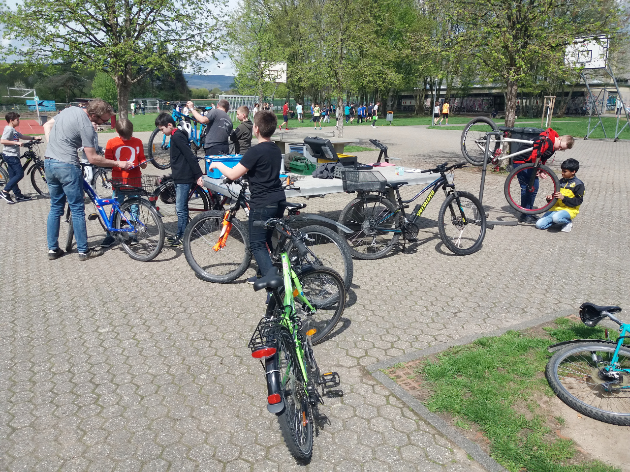 Fahrrad-Check: Fit für den Frühling!